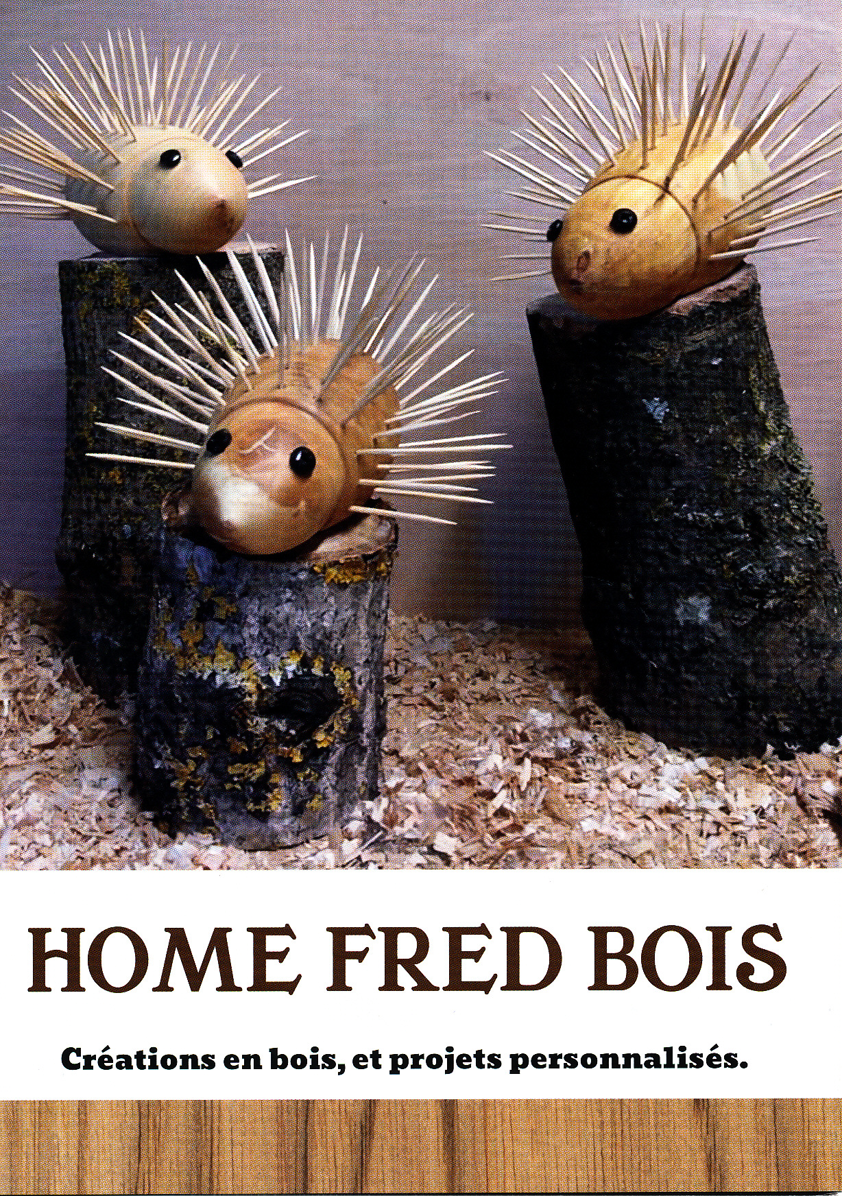HOME FRED BOIS