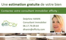 Delphine HANIN, Consultant immobilier